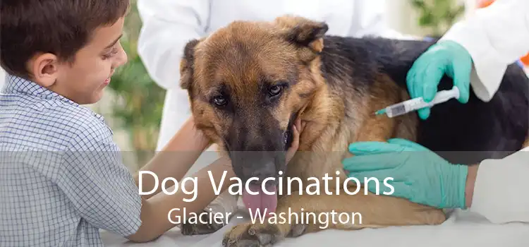 Dog Vaccinations Glacier - Washington