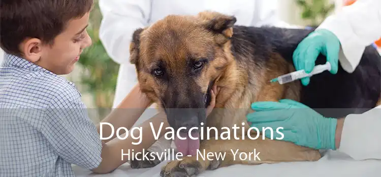Dog Vaccinations Hicksville - New York