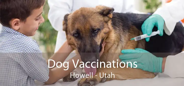 Dog Vaccinations Howell - Utah