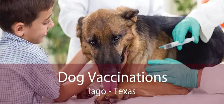 Dog Vaccinations Iago - Texas