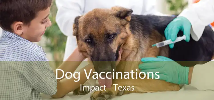 Dog Vaccinations Impact - Texas