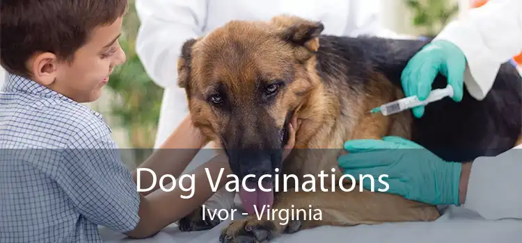 Dog Vaccinations Ivor - Virginia