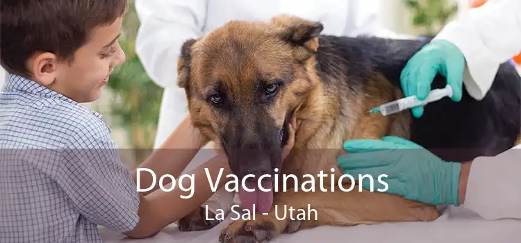 Dog Vaccinations La Sal - Utah