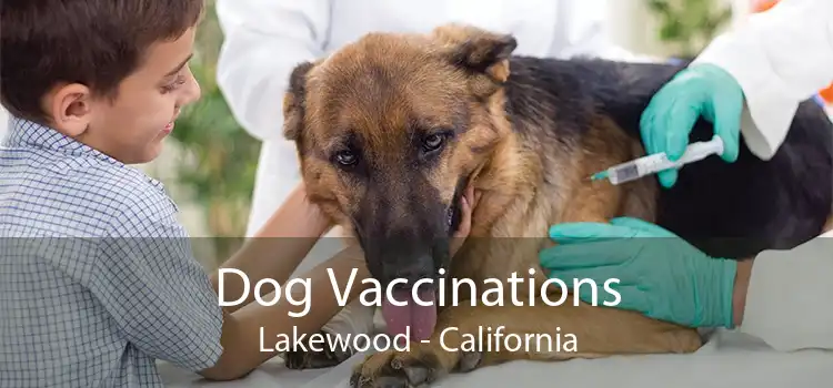 Dog Vaccinations Lakewood - California