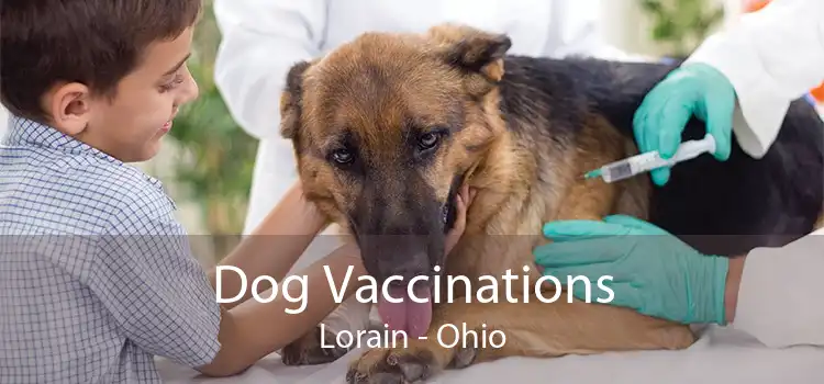 Dog Vaccinations Lorain - Ohio
