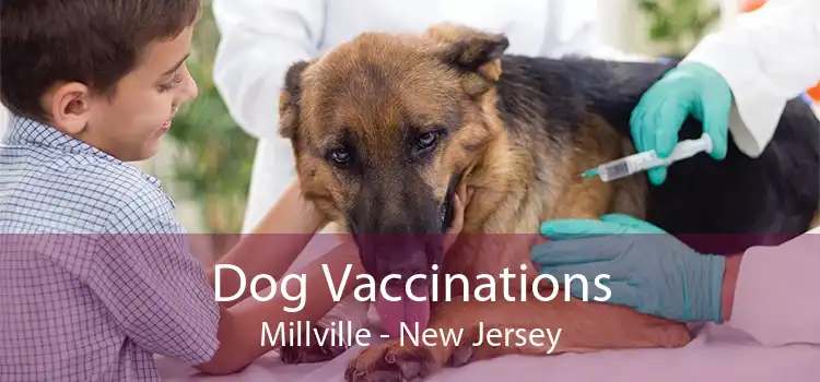 Dog Vaccinations Millville - New Jersey