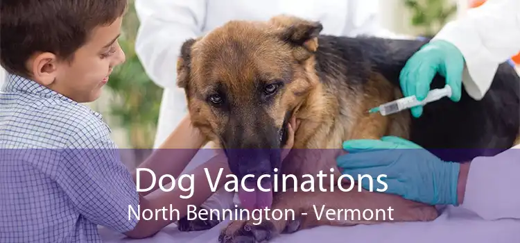 Dog Vaccinations North Bennington - Vermont