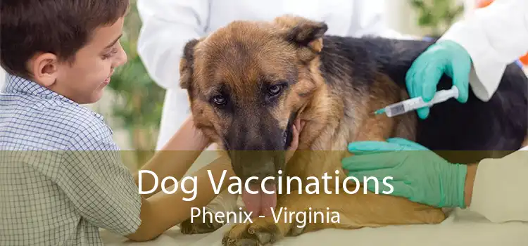 Dog Vaccinations Phenix - Virginia
