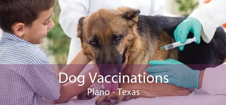 Dog Vaccinations Plano - Texas