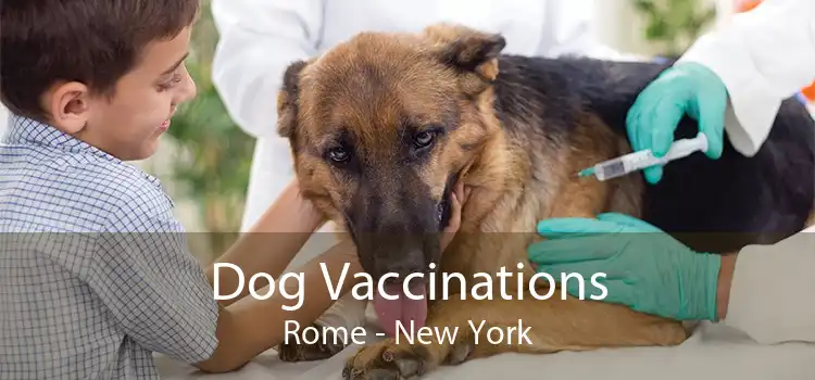 Dog Vaccinations Rome - New York