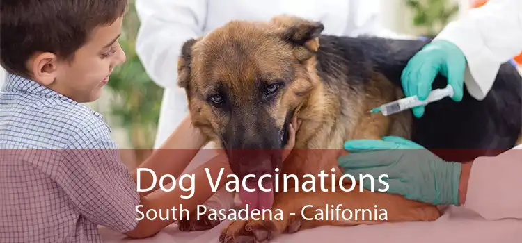 Dog Vaccinations South Pasadena - California