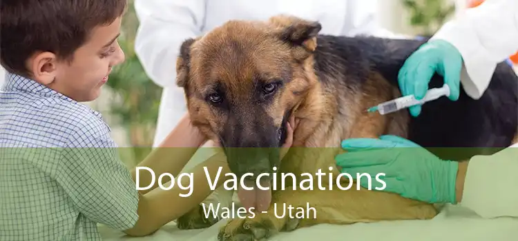 Dog Vaccinations Wales - Utah