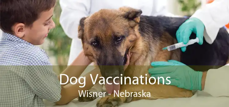 Dog Vaccinations Wisner - Nebraska