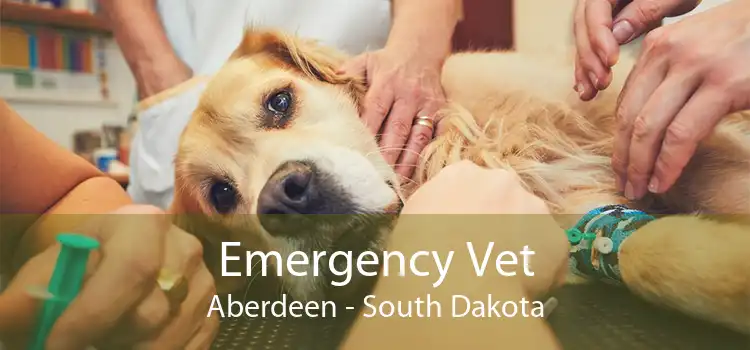 Emergency Vet Aberdeen - South Dakota