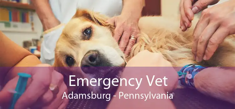 Emergency Vet Adamsburg - Pennsylvania