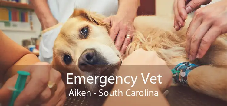 Emergency Vet Aiken - South Carolina