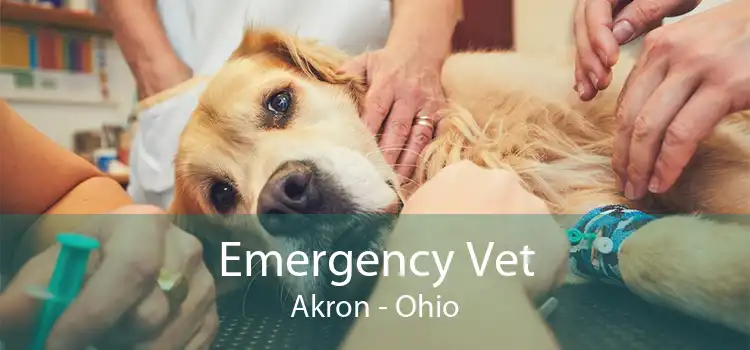 Emergency Vet Akron - Ohio