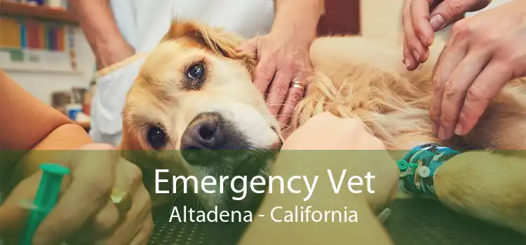 Emergency Vet Altadena - California