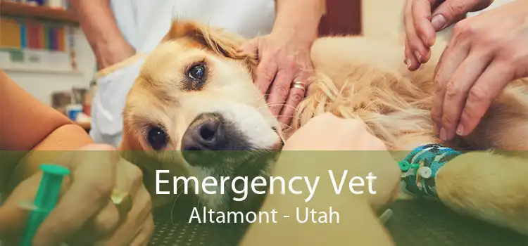 Emergency Vet Altamont - Utah