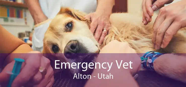 Emergency Vet Alton - Utah