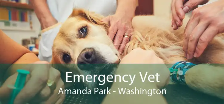 Emergency Vet Amanda Park - Washington