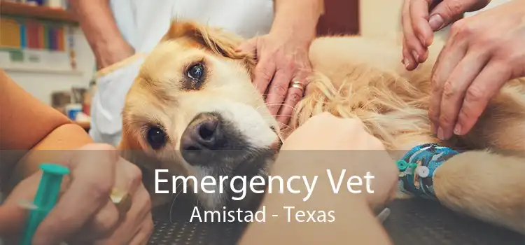Emergency Vet Amistad - Texas