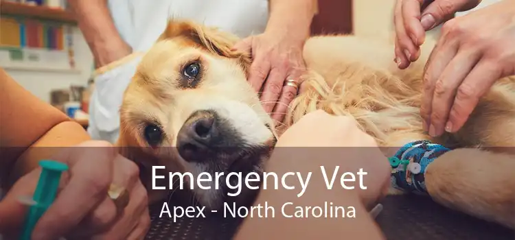 Emergency Vet Apex - North Carolina