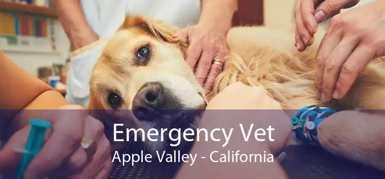 Emergency Vet Apple Valley - California