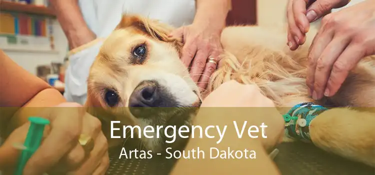 Emergency Vet Artas - South Dakota