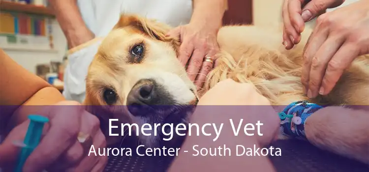 Emergency Vet Aurora Center - South Dakota