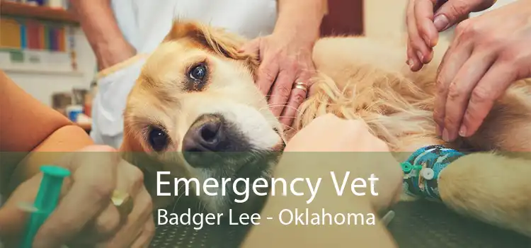 Emergency Vet Badger Lee - Oklahoma