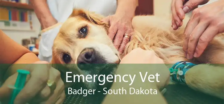 Emergency Vet Badger - South Dakota