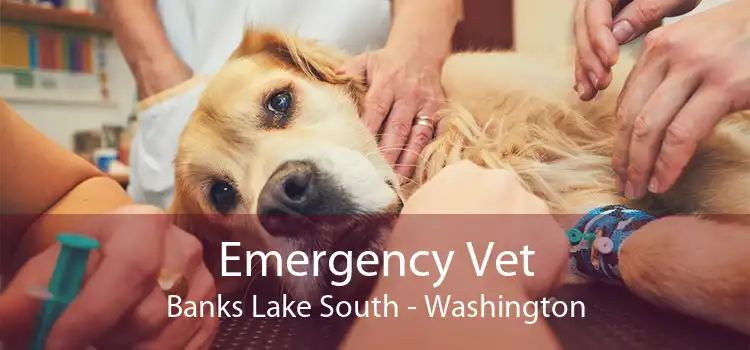 Emergency Vet Banks Lake South - Washington