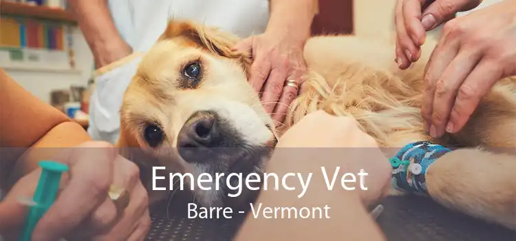 Emergency Vet Barre - Vermont