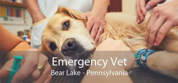 Emergency Vet Bear Lake - Pennsylvania