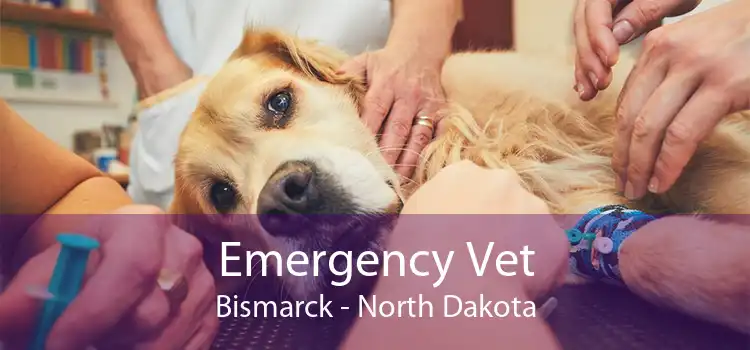 Emergency Vet Bismarck - North Dakota