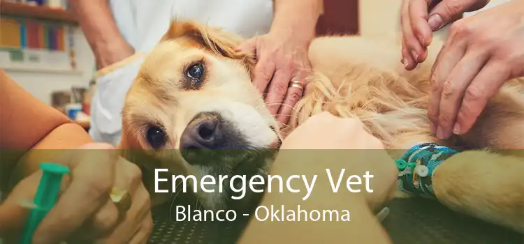 Emergency Vet Blanco - Oklahoma