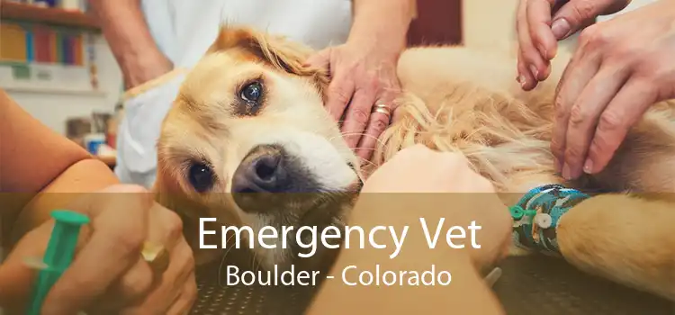 Emergency Vet Boulder - Colorado
