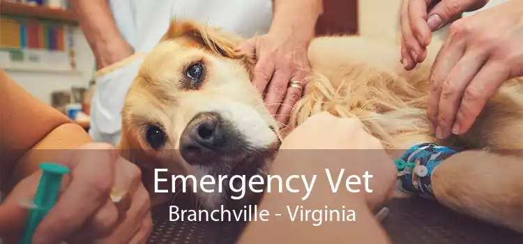 Emergency Vet Branchville - Virginia