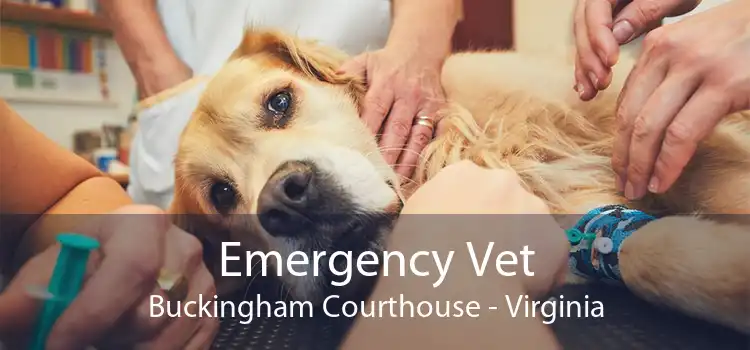 Emergency Vet Buckingham Courthouse - Virginia