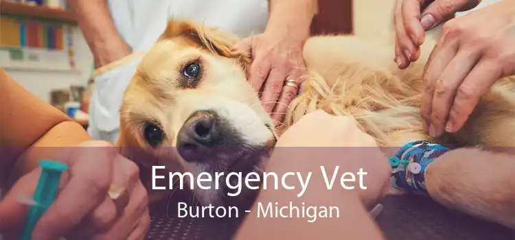 Emergency Vet Burton - Michigan