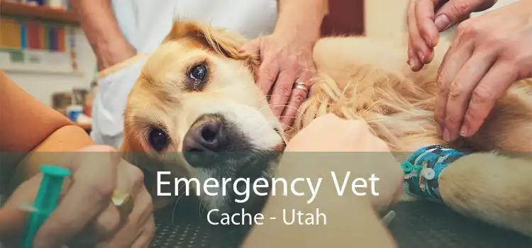 Emergency Vet Cache - Utah