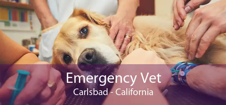 Emergency Vet Carlsbad - California