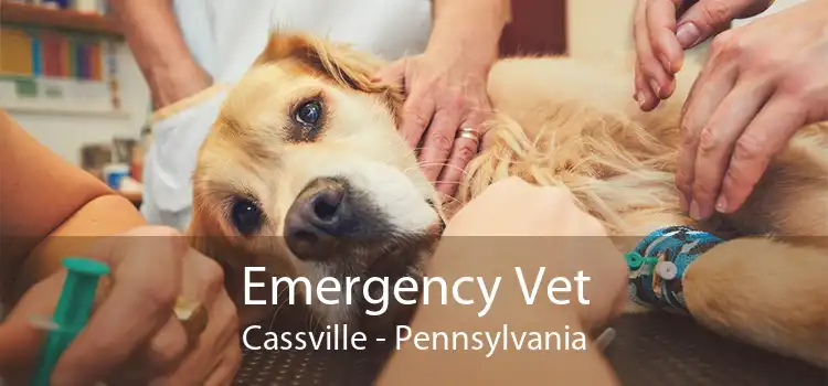 Emergency Vet Cassville - Pennsylvania