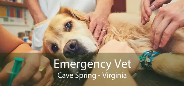 Emergency Vet Cave Spring - Virginia