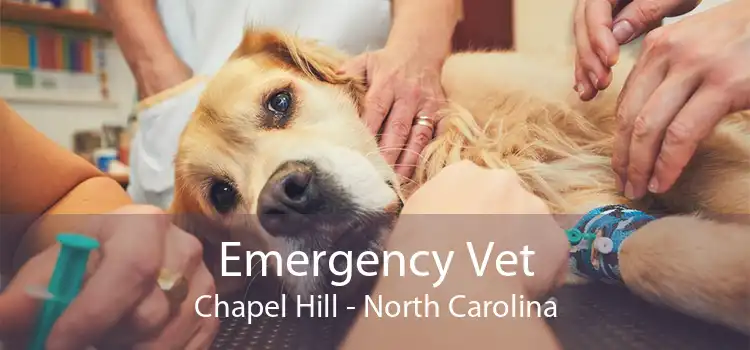 Emergency Vet Chapel Hill - North Carolina