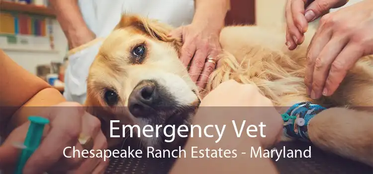 Emergency Vet Chesapeake Ranch Estates - Maryland