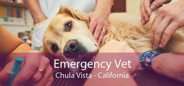 Emergency Vet Chula Vista - California
