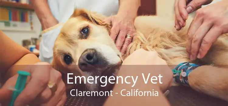 Emergency Vet Claremont - California