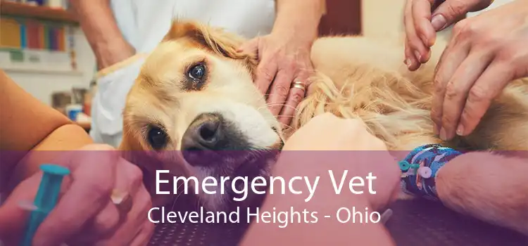 Emergency Vet Cleveland Heights - Ohio